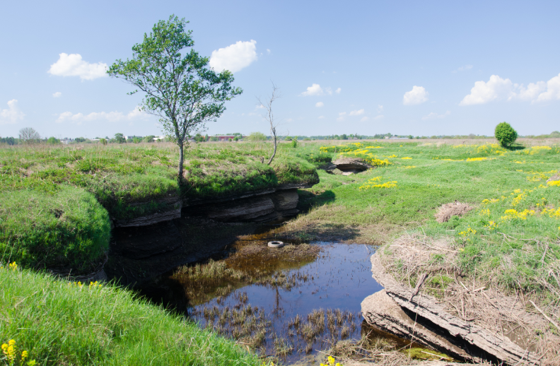 Söe arboreetum, Estonia